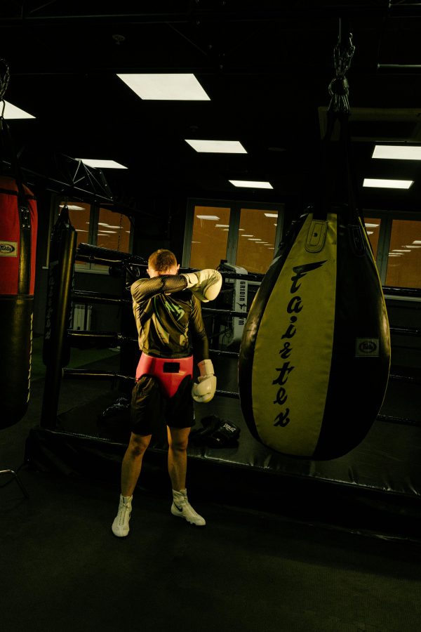 Boxing gloves and shorts